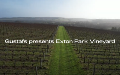 Gustafs Presents: Exton Park